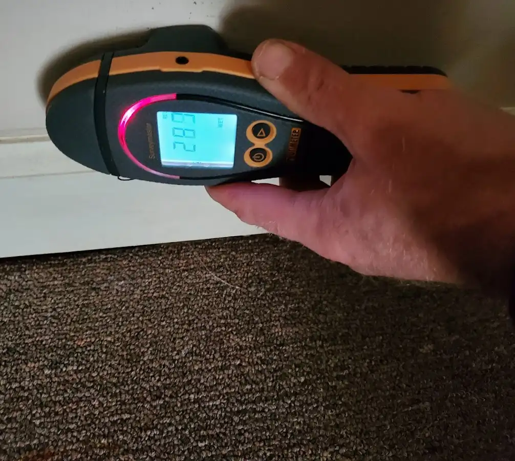 Moisture detection at baseboard during Sewage Cleanup & Sanitation in Sandy